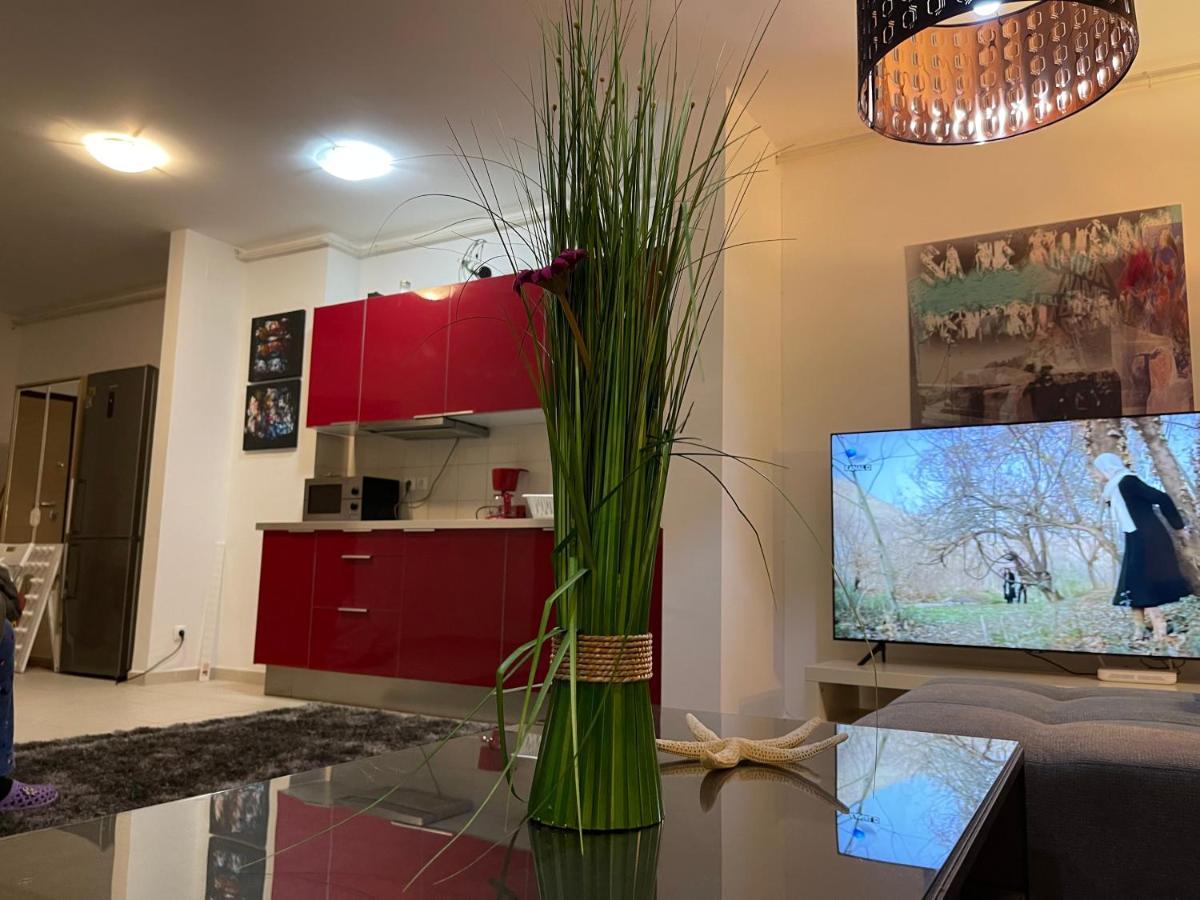 Apartment Happiness By Nicole Jutka, Visual Artist Olimp Luaran gambar